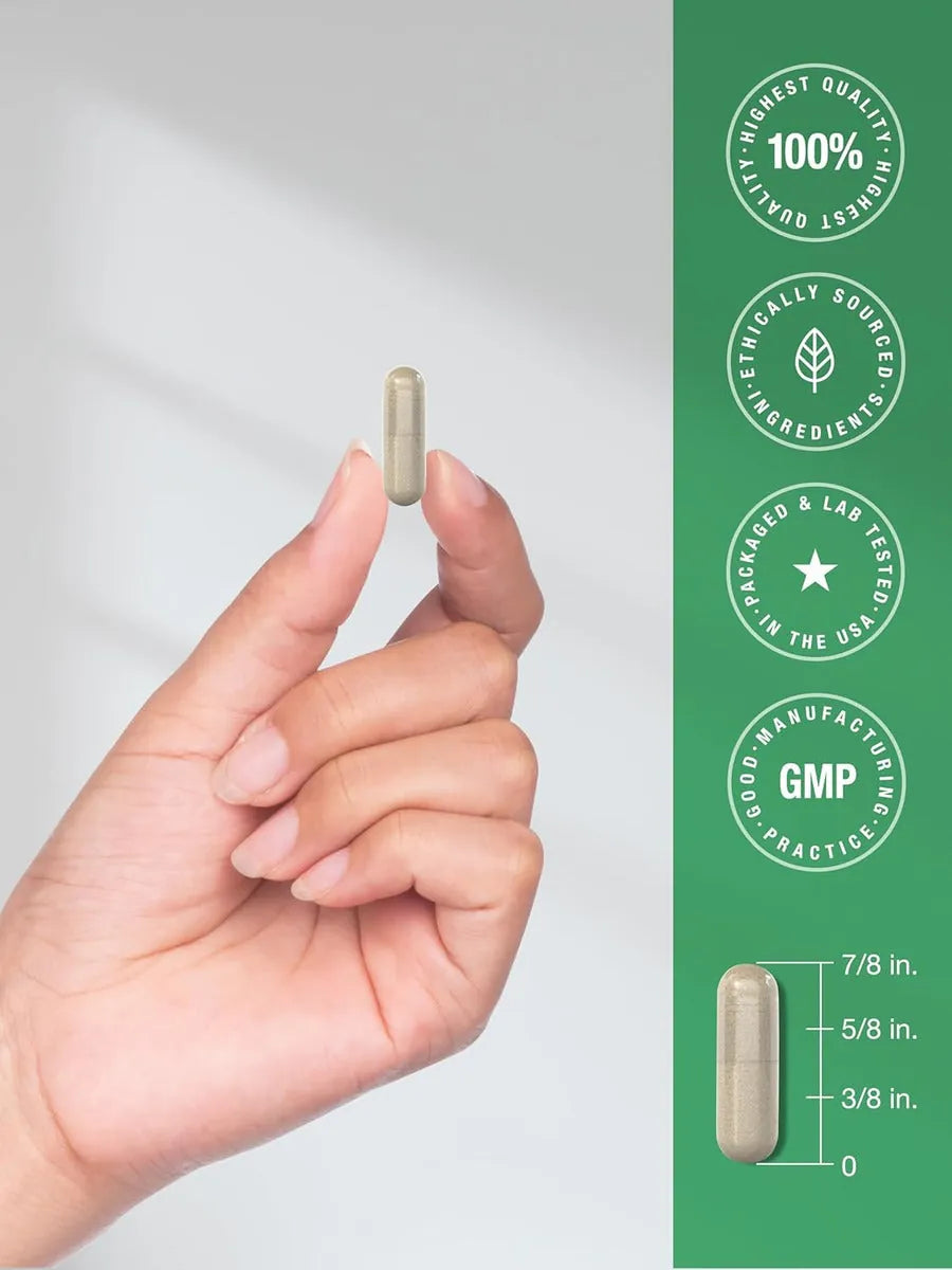 Ashwagandha Horbaach 500 mg | 120 cápsulas
