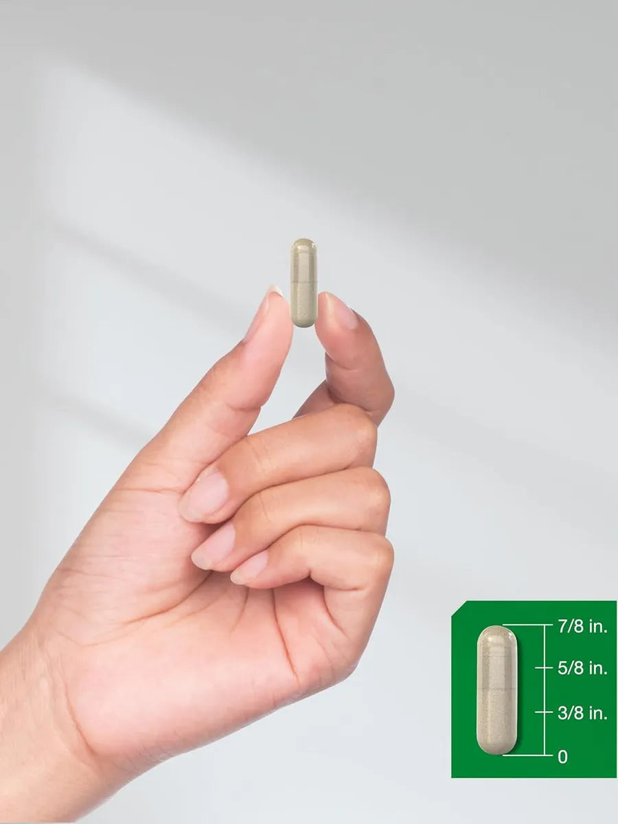 Ashwagandha Horbaach 500 mg | 120 cápsulas